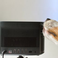 <em>Mmm, tadı Xgimi gibi.</em>” /> Mmm, tadı Xgimi gibi. <img decoding=