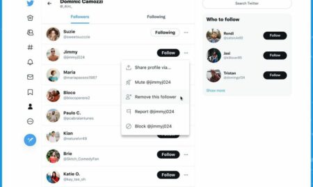 Artık her Twitter web kullanıcısı can sıkıcı takipçileri 'yumuşak bir şekilde engelleyebilir'