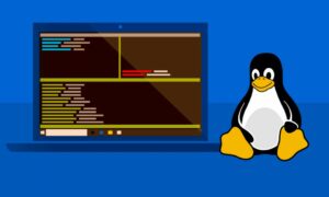 Microsoft, Linux için Windows Alt Sistemini bir Windows 11 uygulamasına dönüştürüyor