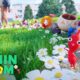 Pikmin Bloom uygulamalı: yürümeyi biraz daha büyülü hale getirmeye çalışan şirin bir uygulama