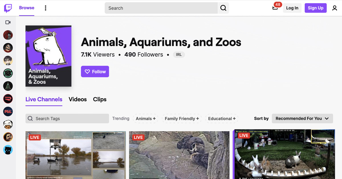 Twitch'in yeni Hayvanlar canlı yayın kategorisi size o bulanık hissi verebilir